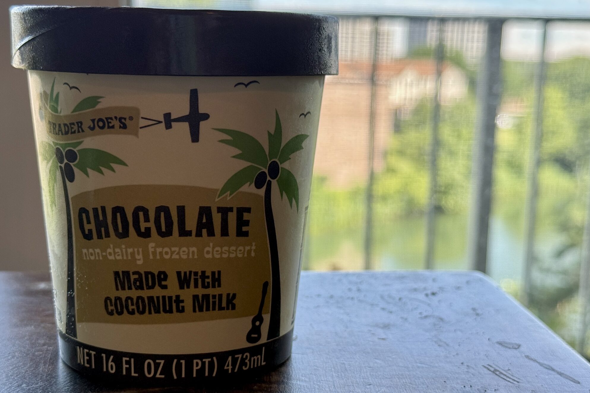 Trader Joe's Chocolate Non Dairy Dessert Pint