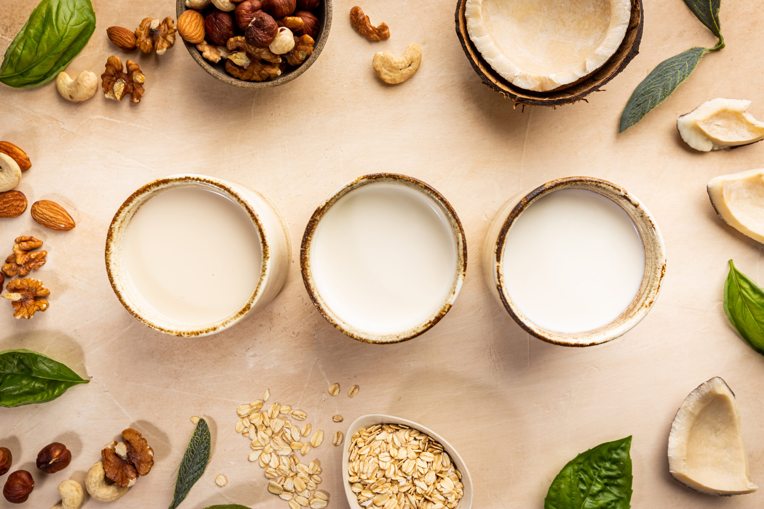 Vegan non dairy milk